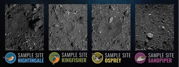 bennu_insert.jpg