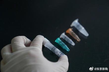 新型冠状病毒肺炎疫苗 我们什么时候能等到？