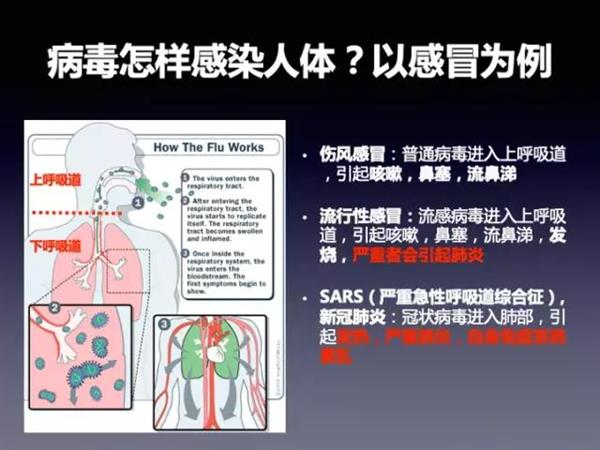 知己知彼：关于病毒 这些秘密你必须知道