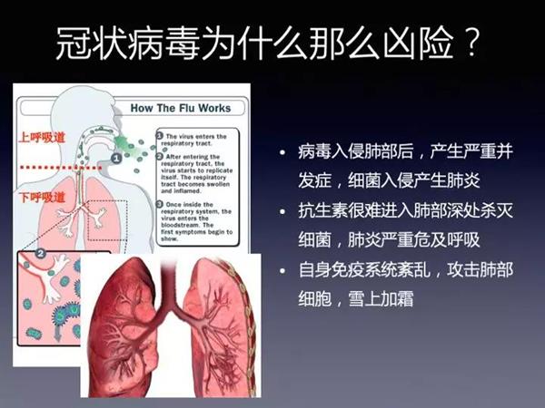 知己知彼：关于病毒 这些秘密你必须知道
