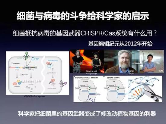 知己知彼：关于病毒 这些秘密你必须知道