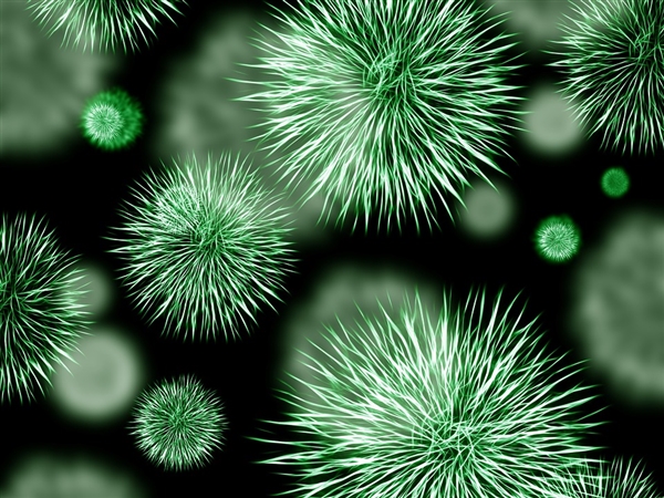 6个超级寄生虫让人感染病例：一个比一个恐怖