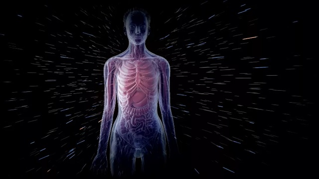 NASA打造了一支“宇宙射线枪”以研究太空辐射对生物的潜在影响
