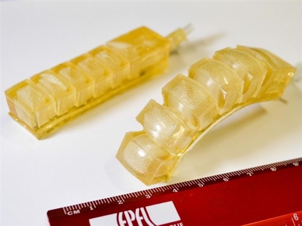 “可食用”机器人问世:外形类似大象