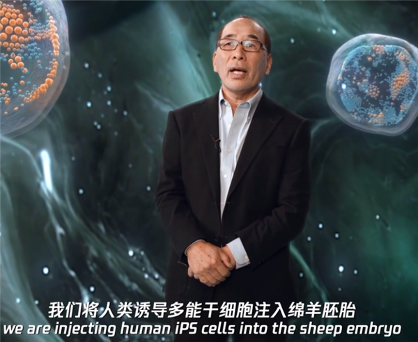 人兽杂交器官移植？这些研究有些科幻