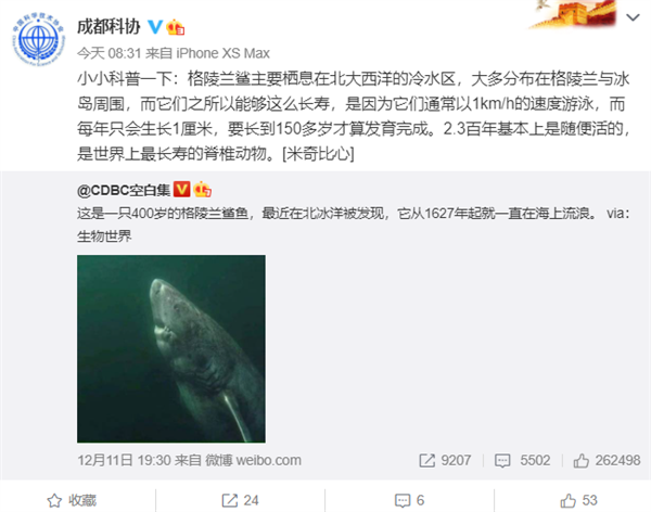 400岁的格陵兰鲨鱼火了:出生于中国明朝