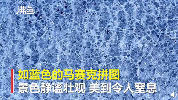 新疆赛里木湖现蓝冰拼图奇观 网友称有异世界森林既视感