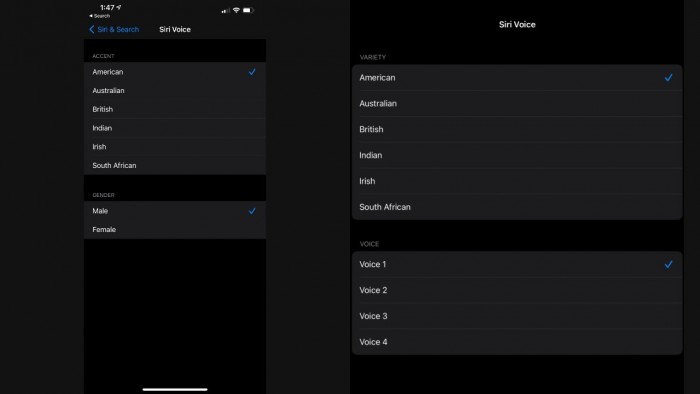 iPhone iPad Siri.jpg