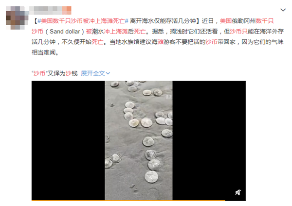 数千只