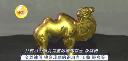 考古新发现！秦始皇陵陪葬墓出土文物 惊现一群“小可爱”