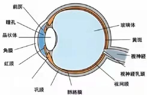 揉眼睛看到奇怪的图案：是窥探到了天机吗？