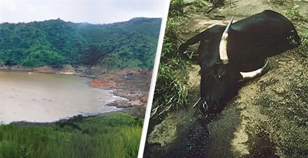 非洲一湖泊从蓝色变成血红色！1746人窒息而亡
