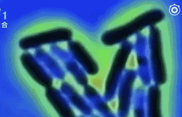 人家细菌肉眼都看不见 它却能长到2厘米长
