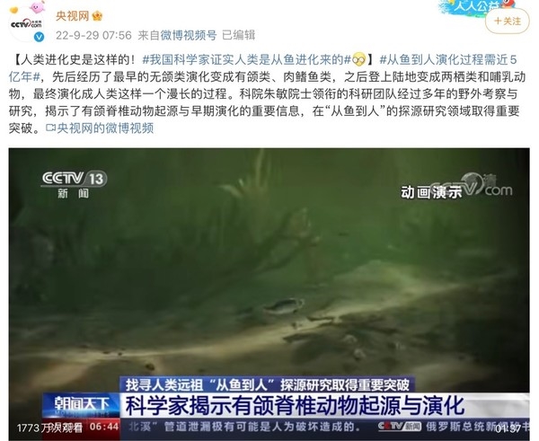 我国科学家证实人类是由鱼进化而来 从猿到人破灭了？