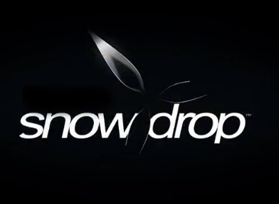 AMD宣布与育碧达成合作：协助优化Snowdrop引擎性能