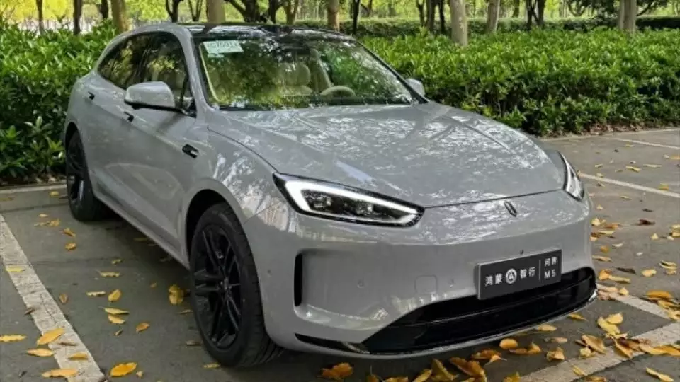 新款问界m5图片（新款问界M5，做最好开的华为SUV，但30万内买不到高配？“花臂伴娘”勇敢追伴郎惨遭拒绝！伴娘叹息：有纹身不代表人品差）