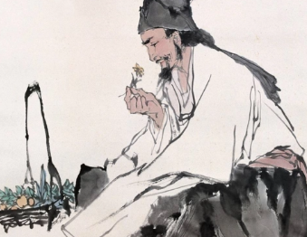 张仲景跟华佗谁大（张仲景和华佗认识吗？两人是一个时代的吗？）