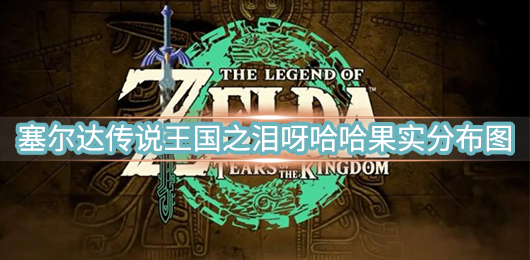 塞尔达传说荒野之息国王的房间（塞尔达传说王国之泪呀哈哈果实分布图）