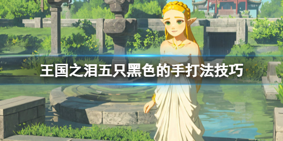 塞尔达传说 国王的书房（塞尔达传说王国之泪五只黑色的手打法技巧）