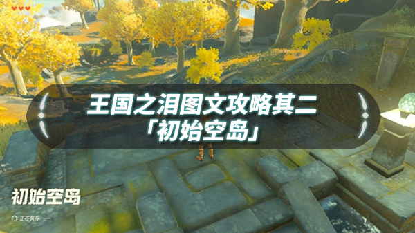 王国之主怎么打（王国之泪图文流程攻略其二「初始空岛」）