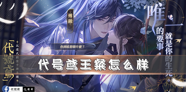 代号鸢王异（代号鸢王粲怎么样）