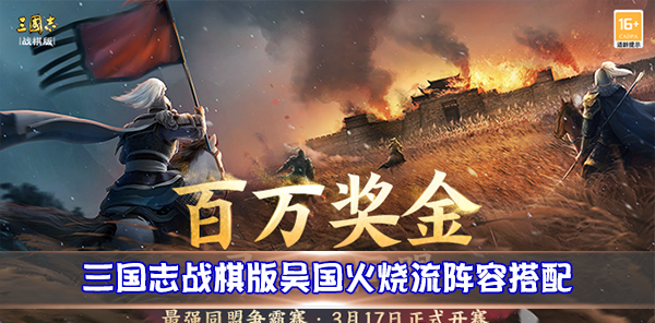 三国志战略版吴国火攻队（三国志战棋版吴国火烧流阵容搭配）