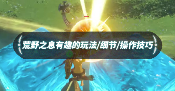 荒野之息dlc2（荒野之息有趣的玩法/细节/技巧）