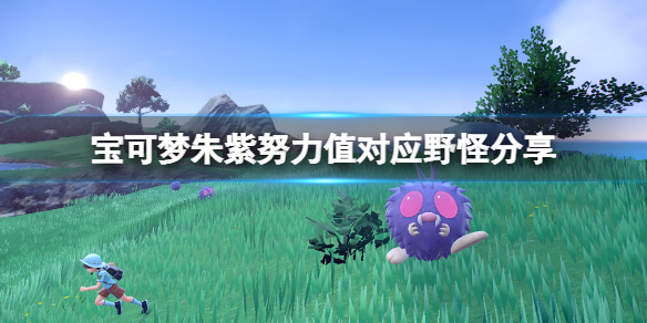 宝可梦朱紫努力值对应精灵（宝可梦朱紫努力值对应野怪分享）