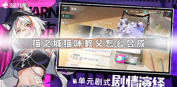 猫之城版号（猫之城猫咪教父怎么合成）