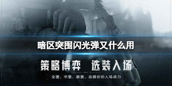 暗区突围自瞄辅助器下载（暗区突围闪光弹有什么用）
