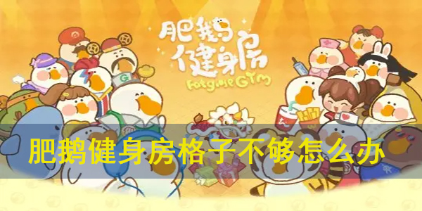 肥鹅健身房会员（肥鹅健身房格子不够怎么办）