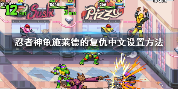 忍者神龟boss施莱德真面目（忍者神龟施莱德的复仇中文设置方法）