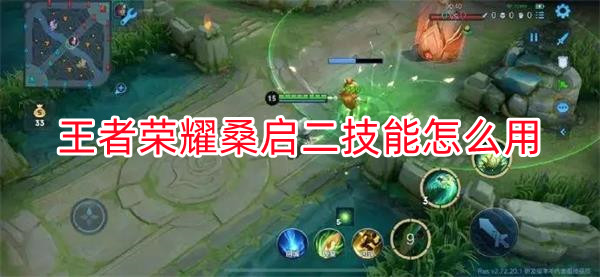 王者荣耀桑杰的王者名字叫什么（王者荣耀桑启二技能怎么用）