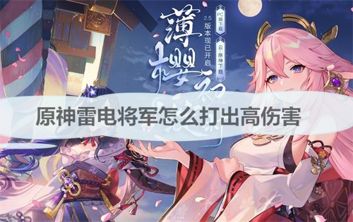 原神里的雷电将军怎么打（原神雷电将军怎么打出高伤害）