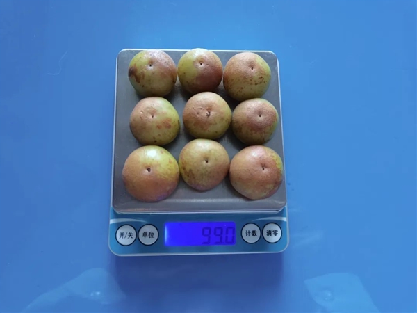 这种水果维生素C含量是橙子8倍!被誉为“窜稀神器”