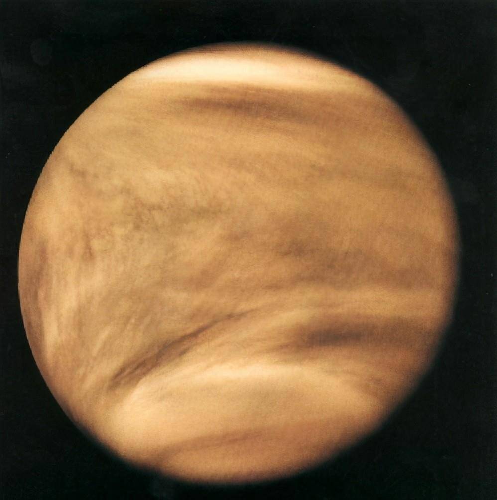 67年前来自金星的美女，巨大的额头中间有一条凸起的骨头 