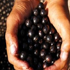 40岁女人雌激素减少怎么办？吃这6种碱性食物补充雌激素不显老 