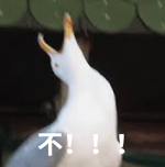 美女自拍时手机被鸟抢走！手机秒变飞机、还拍了视频