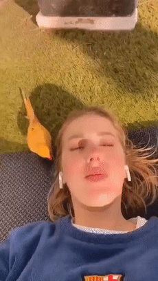 美女自拍时手机被鸟抢走！手机秒变飞机、还拍了视频