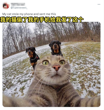 美女自拍时手机被鸟抢走！手机秒变飞机、还拍了视频