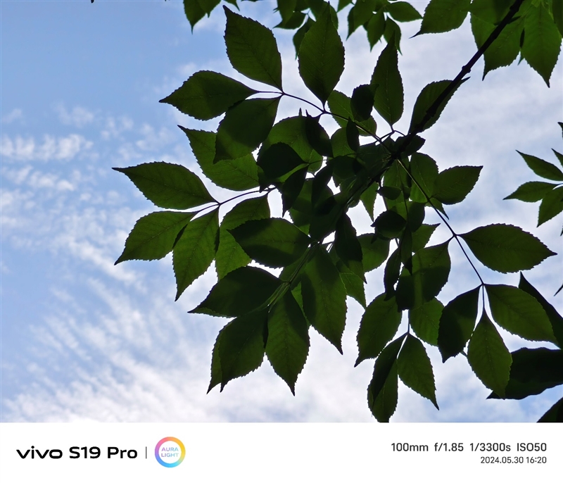 轻薄时尚还有长续航 vivo S19 Pro体验评测：这算把人像机的短板给补足了
