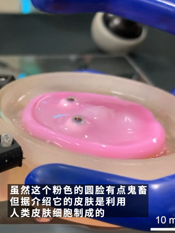 还得是日本！给机器人做了一张“人皮”：这鬼畜微笑过于瘆人
