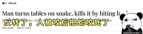 印度老哥被蛇咬后反将蛇咬死 穿反伤甲了