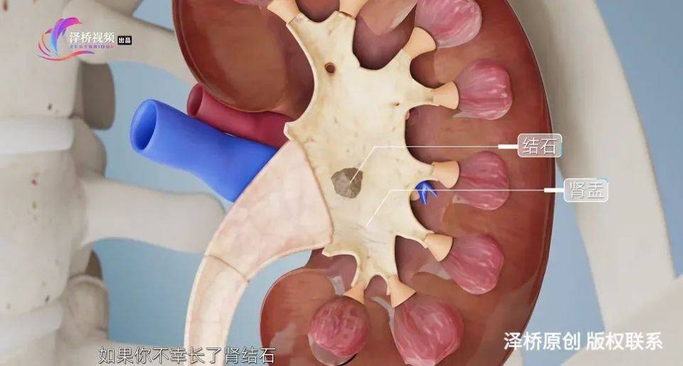 长期喝白开水VS长期喝茶，谁更胜一筹？