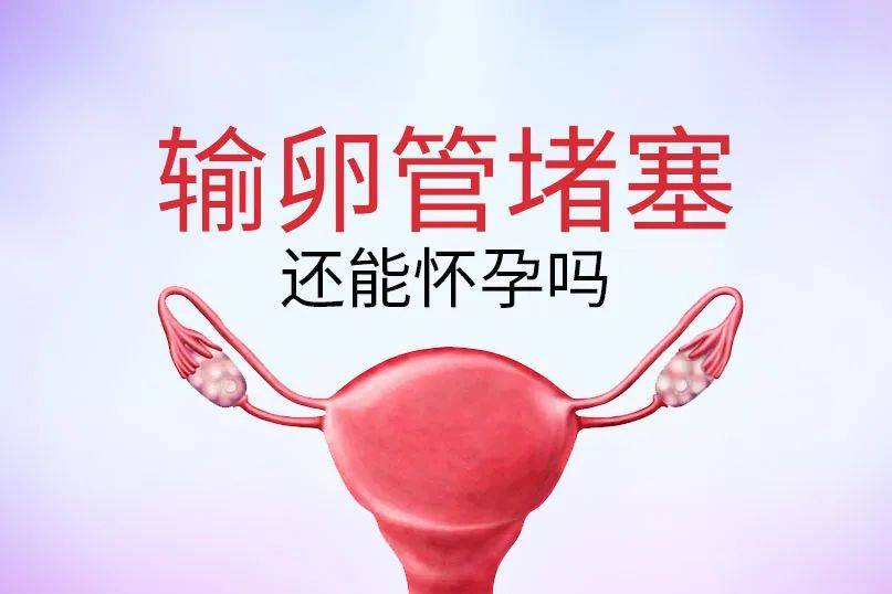 有哪些预防输卵管堵塞的方法呢？ 