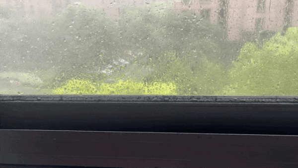 “邪门”的彼岸花！竟专挑台风期开放：很多人见过却不知道
