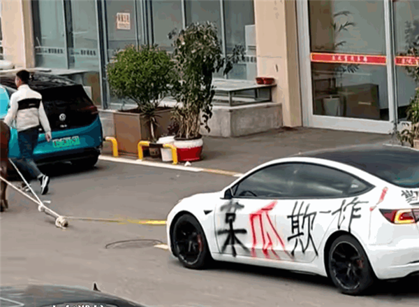车主用牛拉特斯拉上路维权，因为9.9万买的二手无法充电 
