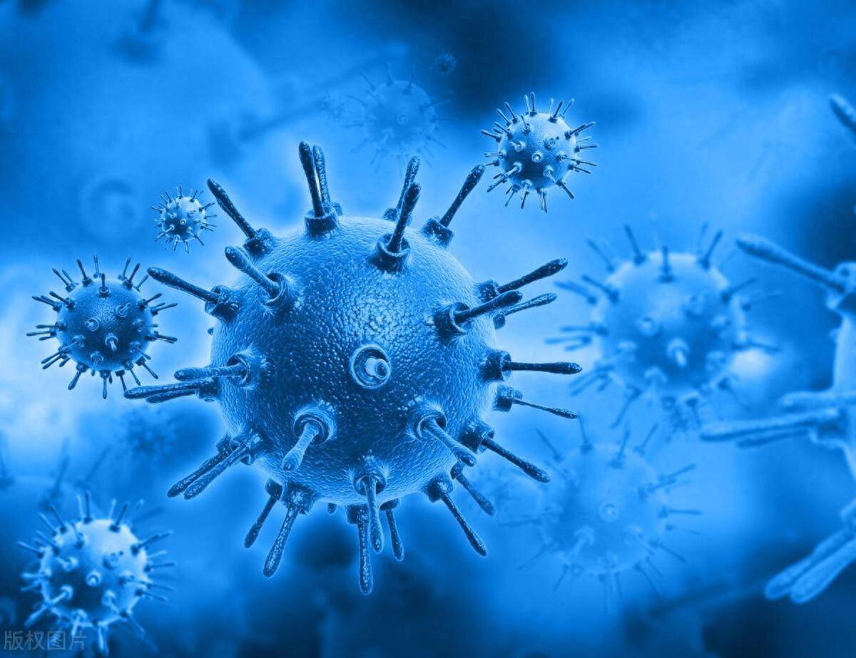 生殖器疱疹真的是终身携带吗？这两种方法可以清除病毒！