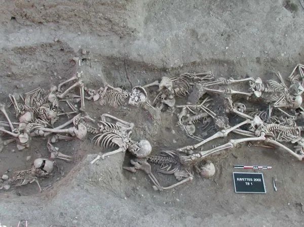 肆虐1500多年 曾杀死一半欧洲人！它靠改变一个基因 操纵人类命运