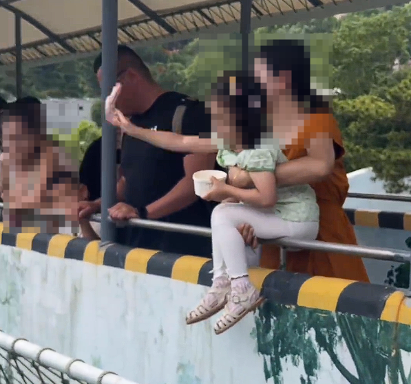 女子抱闺女探出护栏喂老虎被批不安全 本人：不要操不该操的心